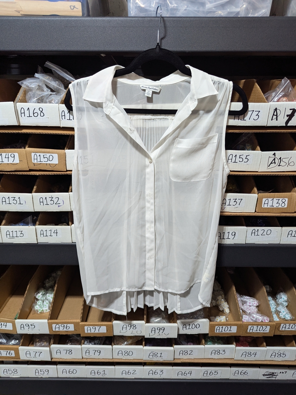 American Eagle Outfitters Sleeveless Sheer Pleated-Back Blouse — White SP